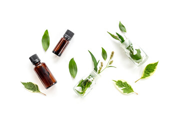 Herbal treatment with extract or essential oil and green fresh healing herbs, top view