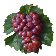 Fototapeta premium bunch of grapes