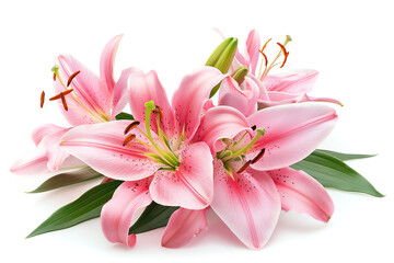 Fototapeta premium Lily, bouquet, isolated on white background