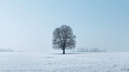 A lone tree in a snowy meadow - Powered by Adobe