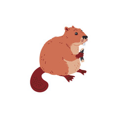 Vector image beaver is holding a log in a flat style on a white background © sabelskaya