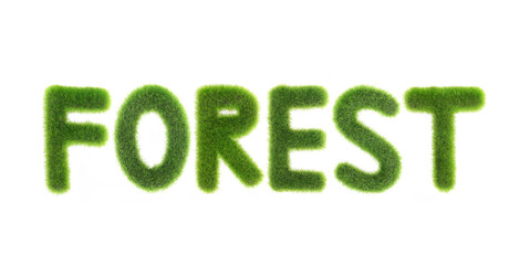 fresh grass letters building word forest