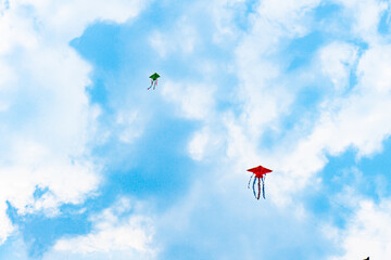 kites flying in the sky