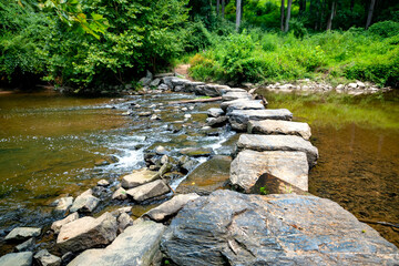 line of large stones for crossing a forest stream. Hacking trail.