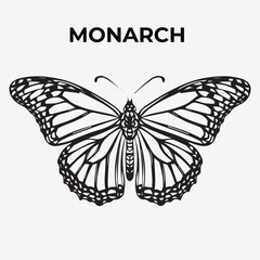 Monarch butterfly Detailed Outline for Artistic Coloring. Vector Illustration