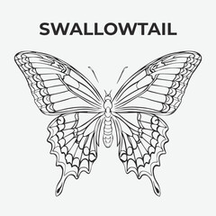 Swallowtail butterfly Detailed Outline for Artistic Coloring. Vector Illustration