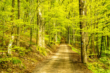 Eine Frühlingshafte Wanderung durch das wunderschöne Sinntal zum Schwarzen Berge bei Riedenberg -...