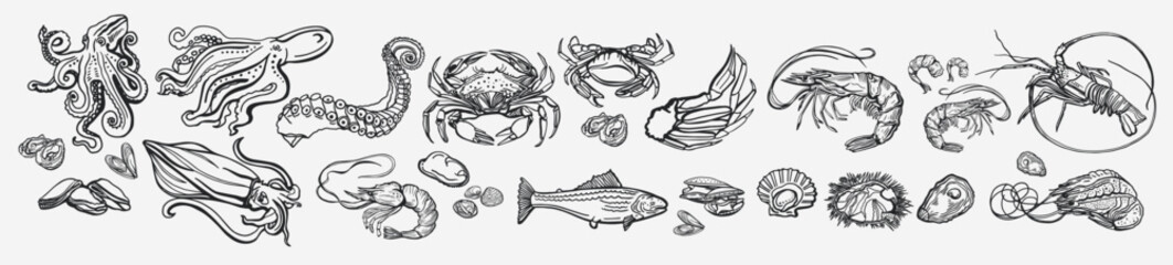 Isolated vector set of seafood.Shrimps, langoustines, prawns, salmon, trout, oysters, mussels, squid, crab, octopus, rosemary, sea urchin. Monochrome.Hand-drawn seafood delicacy,restaurant and marine.