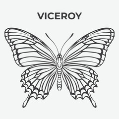 Viceroy butterfly Detailed Outline for Artistic Coloring. Vector Illustration