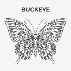 Buckeye butterfly Detailed Outline for Artistic Coloring. Vector Illustration