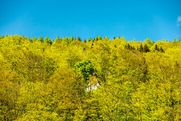 Eine Frühlingshafte Wanderung durch das wunderschöne Sinntal zum Schwarzen Berge bei Riedenberg -...
