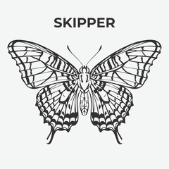 Skipper butterfly Detailed Outline for Artistic Coloring. Vector Illustration