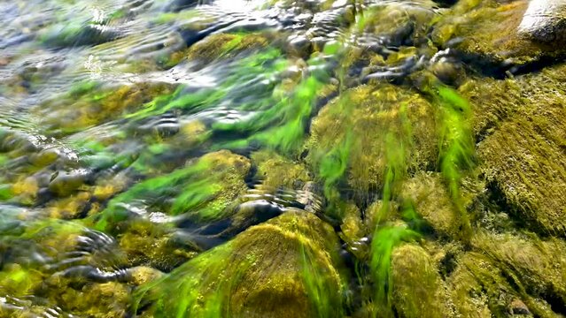 Beautiful Natural Water Resource in United Arab Emirates After Rainy Season
