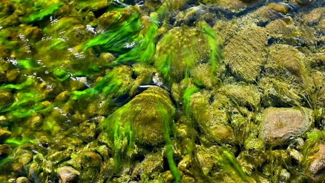 Beautiful Natural Water Resource in United Arab Emirates After Rainy Season