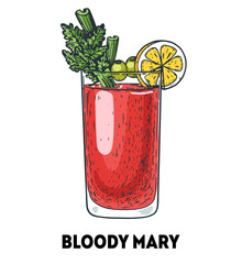 Bloody mary cocktail illustration. Hand drawn sketch. Vector illustration. Isolated object. © DiViArts