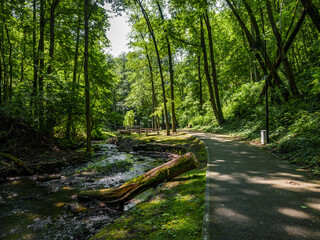 Park miejski w Reszlu.