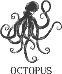 Black octopus retro sketch