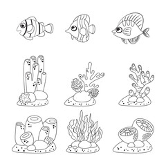 Marine set, anemones, algae and coral in a simple cartoon style. Color graphics for books and posters. children guides.