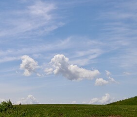 The white cloud in the blue sky.