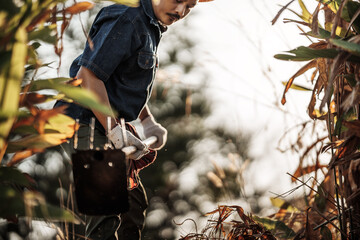 Before planting vegetables, gardeners use a hoe to clear weeds from the soil.