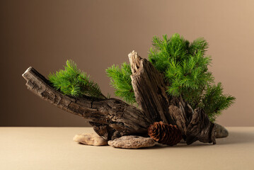 Abstract nature scene with a composition of spruce branches, stones, and dry snags.