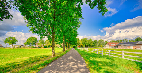 A country road in a rural landscape in The Netherlands.