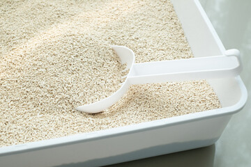 Tofu cat litter sand flakes in the sandbox with shovel