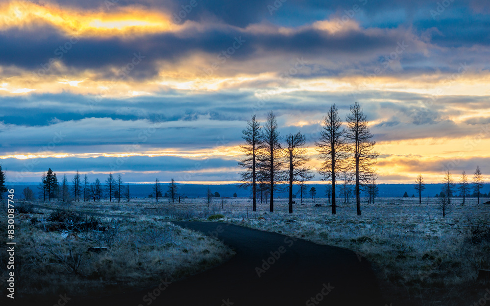 Sticker Woodlands landscape at sunrise in Northern California in Spring 