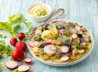 Scandinavian herring salad with potatoes, green onions, pickles cucumbers and radishes dressed with sour cream and herbs. Summer Scandinavian recipes. Light blue wooden background.  Front view