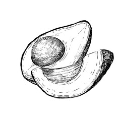 Avocado hass graphic vector illustration, hand drawn sketch of vegetable,sliced avocado. Botanical drawing of tropical fruit. Engraving for food packaging design. Plant sketch