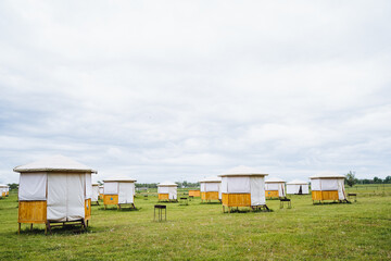 The picturesque outdoor campsite features multiple canvas tents set on wooden bases beneath a...