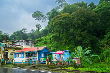 Darjeeling,West Bengal,India - 10th August 2023 : Beautiful colourful village and concrete road passing through Himalayan mountains, lush green forest. Scenic natural beauty of monsoon in Darjeeling.