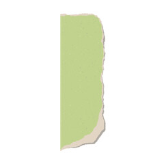 Green torn kraft paper on isolated background. Vertical design.