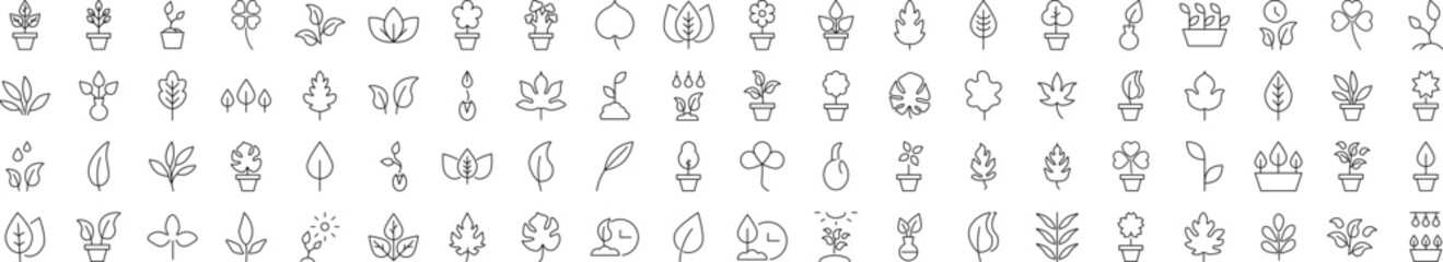 Collection of icons of Leaf for Advertisement. Suitable for books, stores, shops. Editable stroke in minimalistic outline style. Symbol for design