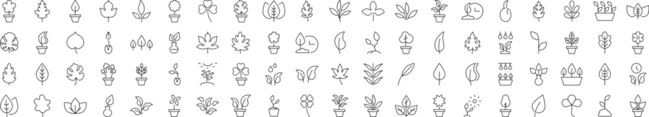 Signs of Leaf for Shops and Stores. Suitable for books, stores, shops. Editable stroke in minimalistic outline style. Symbol for design