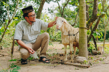 Handsome Asian Muslim man touching goat's head feeling excited, nature background. Eid Al Adha...