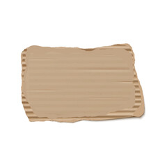 Realistic illustration of a piece of torn cardboard on an isolated background.