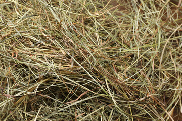 Pile of dried hay on table, closeup view