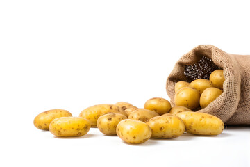 potato in  bag on white background