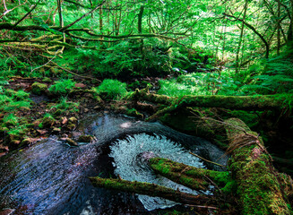 Spiralling Bubbles in a pool, Waterfall, Locherwood and Ladymuir Woodland, Renfrewshire, Scotland, UK