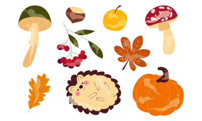 Set of autumn leaves, mushrooms, hedgehog, apples, natural rowan berries, pumpkin, acorn, chestnut, amanita muscaria. Hello Fall.   Autumn seasonal forest foliage. Poisonous inedible mushroom. 