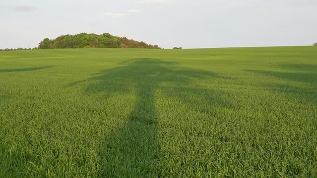 Tilsvilde, Denmark A sunset view over green agricultural fields and shadows of trees. 