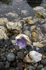 A little pop of color on the beach