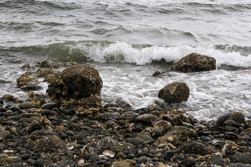 Small steady waves during a stormy day on Hood Canal