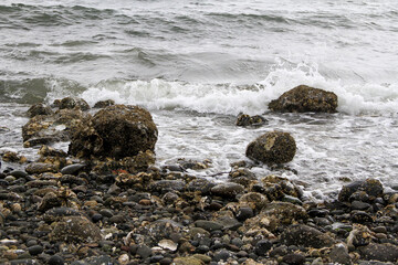 Small steady waves during a stormy day on Hood Canal