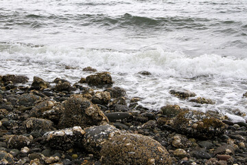 Small steady waves during a stormy day on Hood Canal