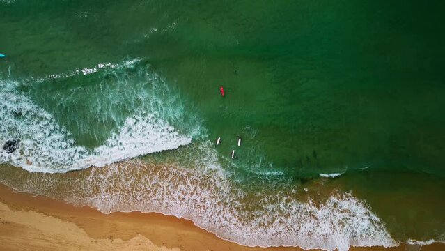 Wave and surfer Beach in the Philippines