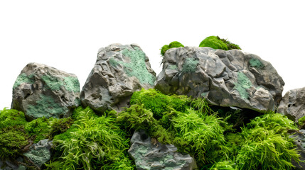 Nature rock and ston green moss, adorning rocks, on transparent background.