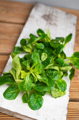 Salat Vogerlsalat Ackersalat mit Zutaten bei der Herstellung