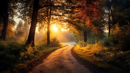 Serene forest path winding through vibrant trees, bathed in warm, golden sunset light, perfect for nature lovers and outdoor enthusiasts.